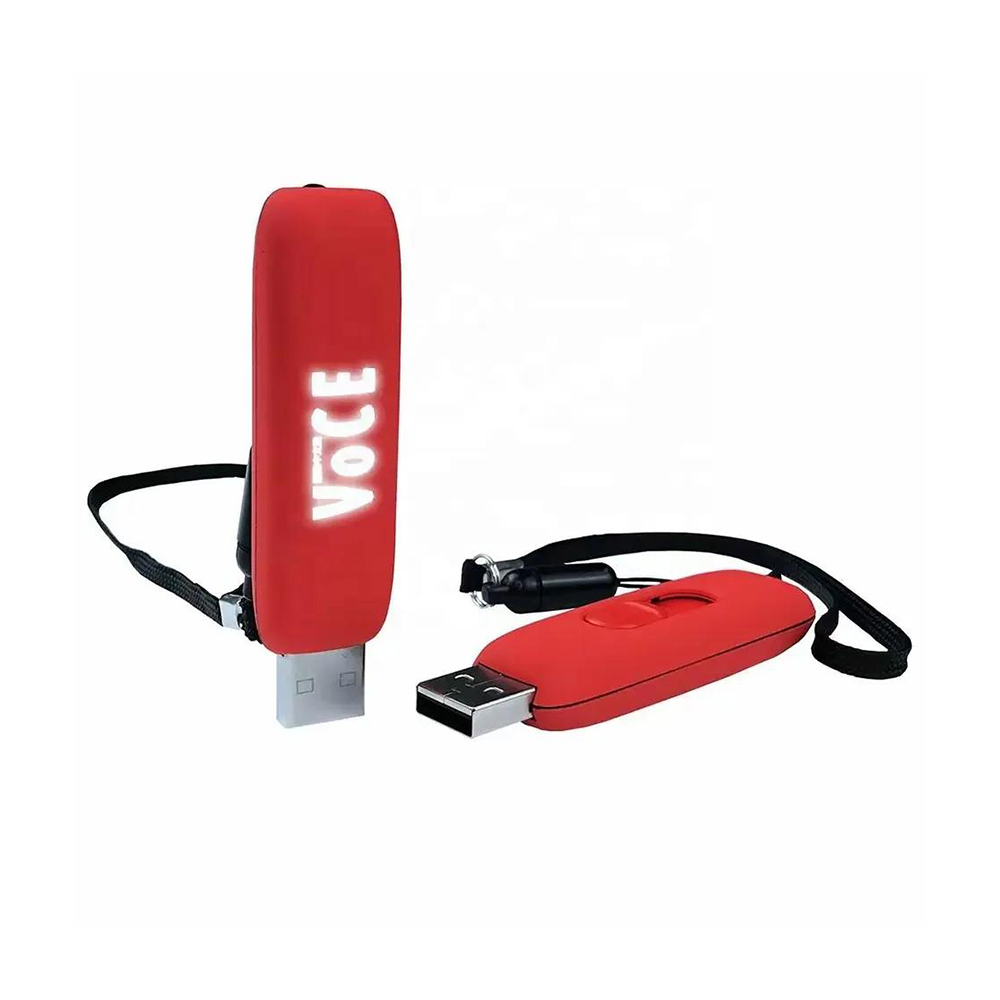 Usb Bellek